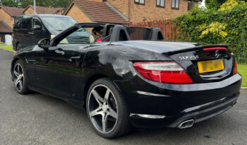 
									Mercedes SLK AMG full								